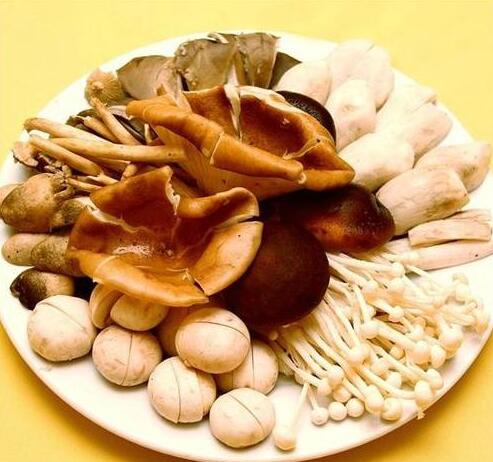 臨沂信邦生物科技有限公司 臨沂信邦生物科技有限公司