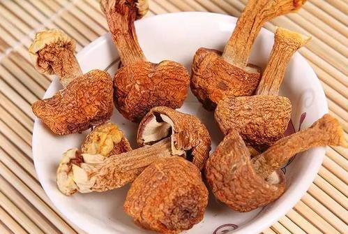 u=2733693142,2537171694&fm=26&gp=0.jpg u=2733693142,2537171694&fm=26&gp=0.jpg